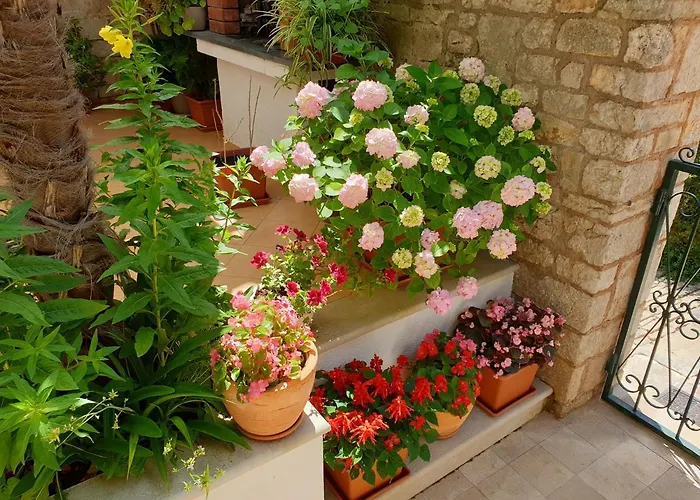 Seaview Appartamento